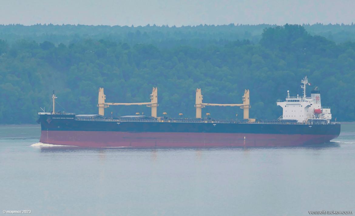 Da-Hong-19 - Bulk Carrier vessel