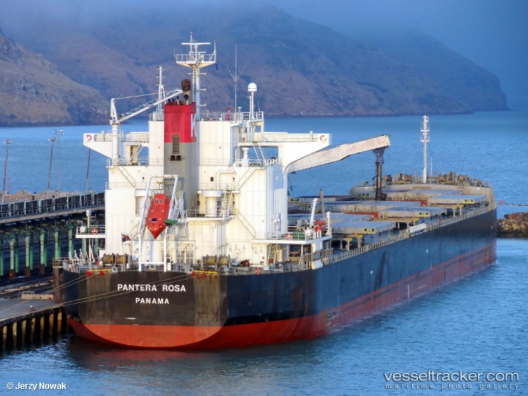 Pelagia - Bulk Carrier vessel