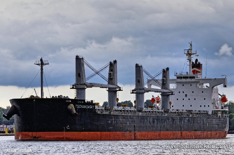Rayhong - Bulk Carrier vessel