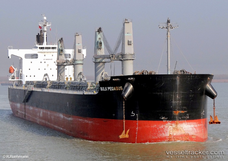 Vienna - Bulk Carrier vessel