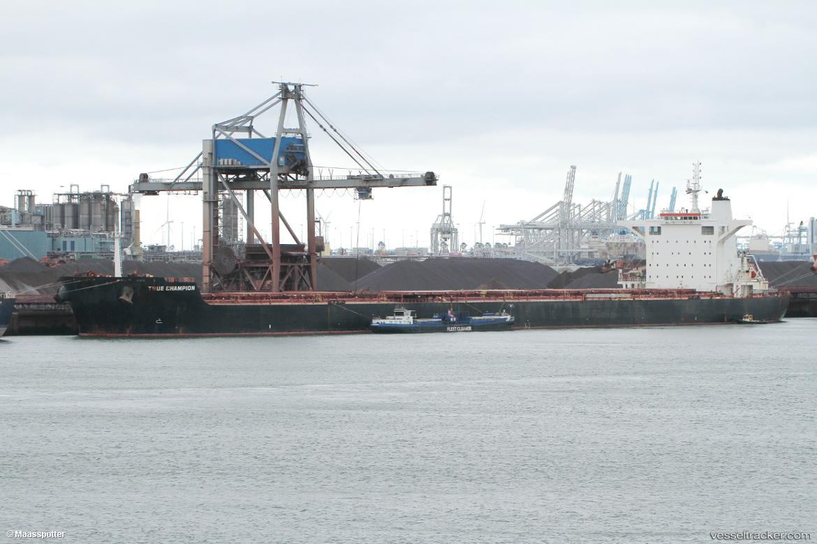 True-Champion - Bulk Carrier vessel