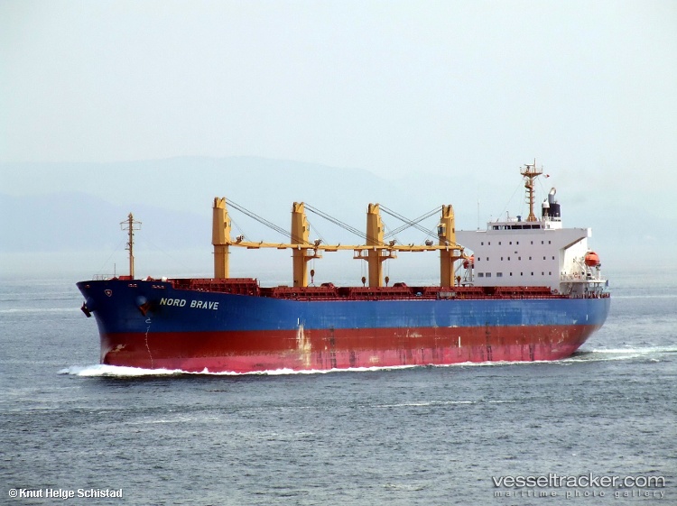 Vimc-Brave - Bulk Carrier vessel