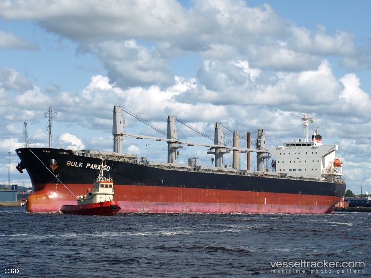 G-Force - Bulk Carrier vessel