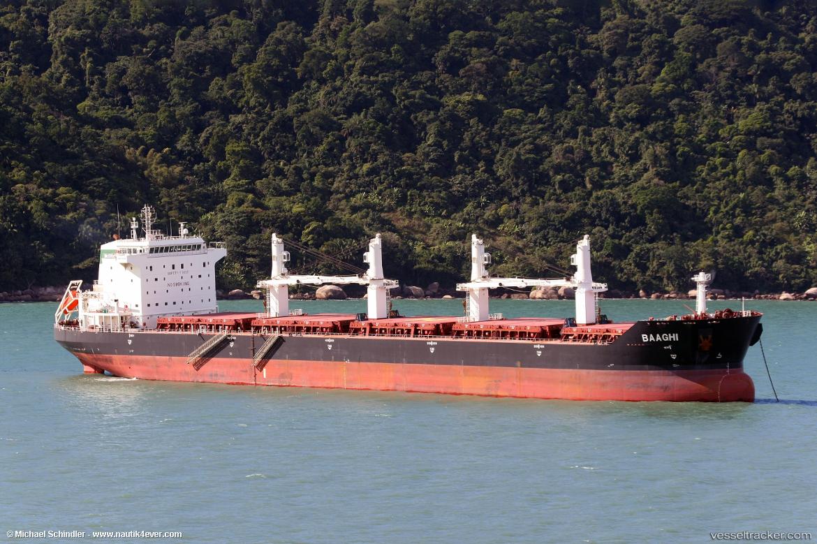 Artman - Bulk Carrier vessel