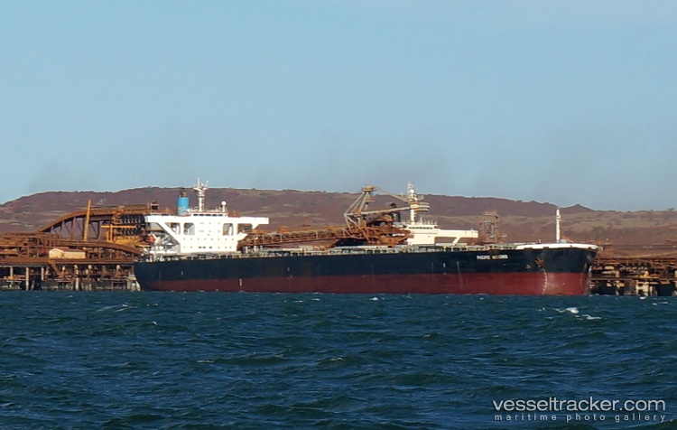 Winning-Zephyr - Bulk Carrier vessel