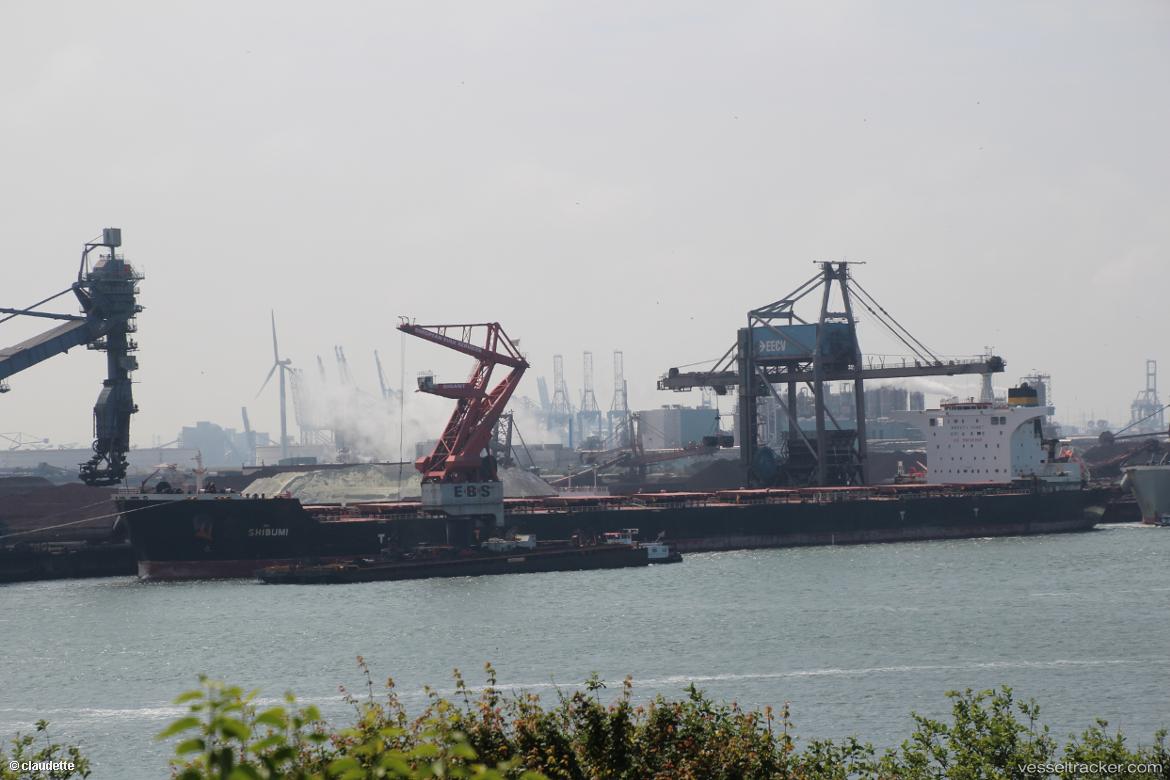 Shibumi - Bulk Carrier vessel