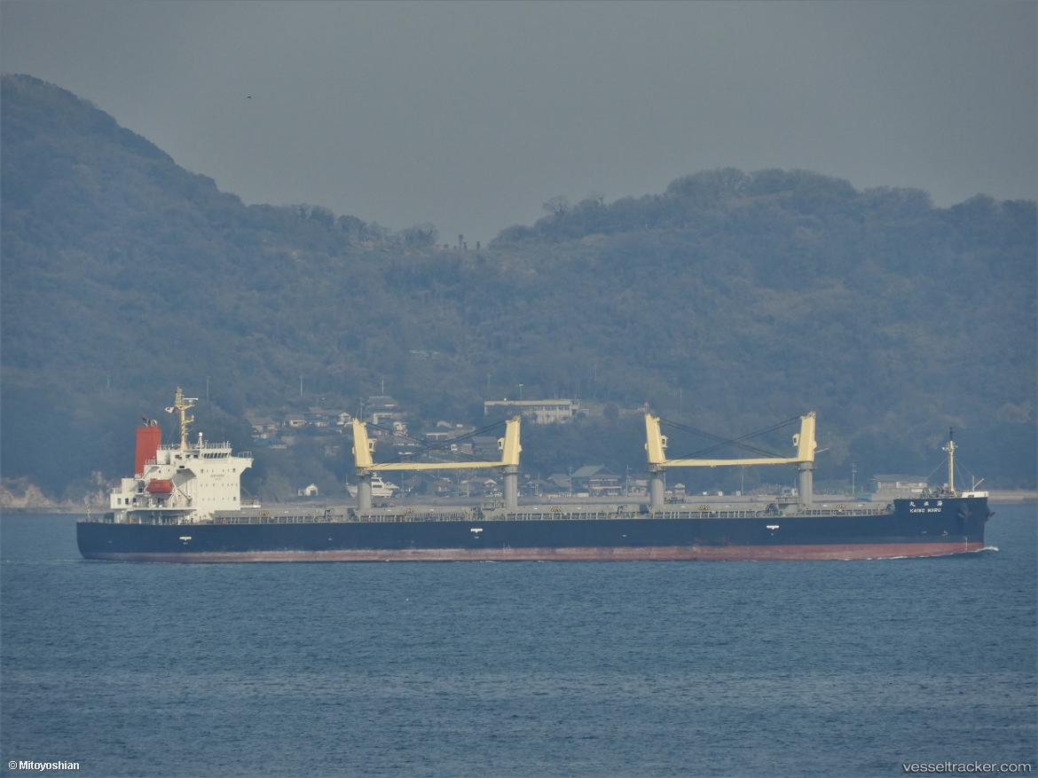 V-Noble - Bulk Carrier vessel