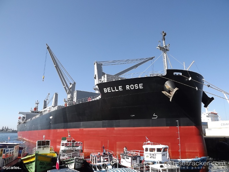 Belle-Rose - Bulk Carrier vessel