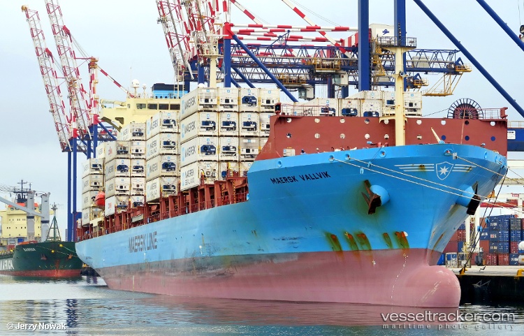 Maersk-Vallvik - Container Ship vessel