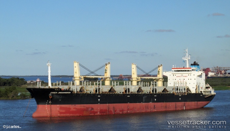 Cosco-Jinggangshan - Wood Chips Carrier vessel