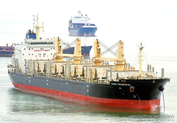 Cosco-Taihangshan - Wood Chips Carrier vessel