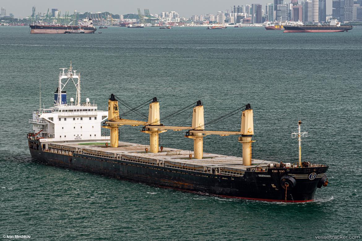 Star-Goal - Bulk Carrier vessel
