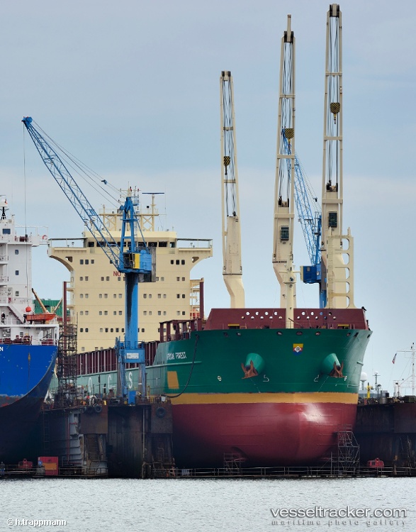 Pacific-Honour - Multi Purpose Carrier vessel