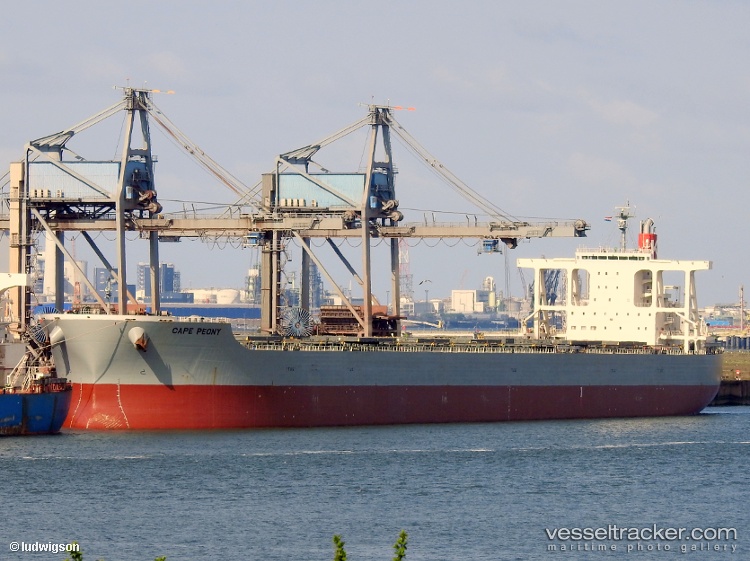 Cape-Peony - Bulk Carrier vessel