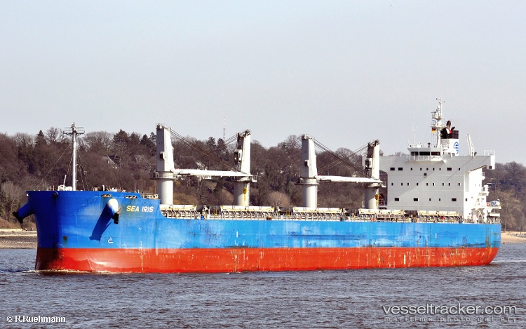 C-Lion - Bulk Carrier vessel