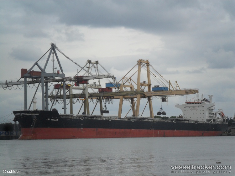 Araucano - Bulk Carrier vessel