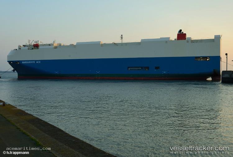 Marguerite-Ace - Vehicles Carrier