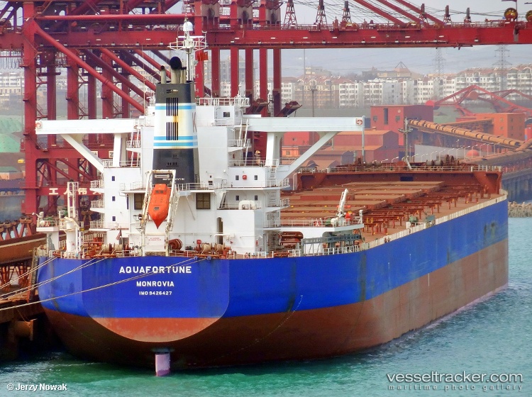 Cape-Aria - Bulk Carrier vessel