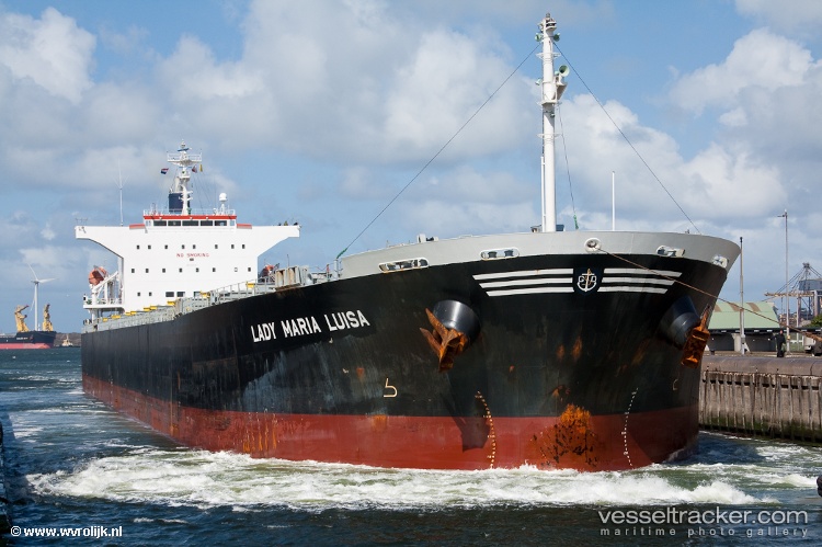 Rising-Lion - Bulk Carrier vessel