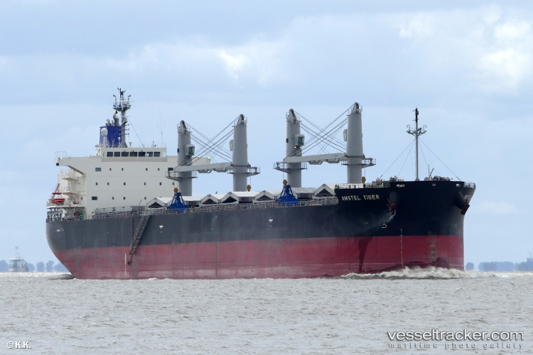 Amstel-Tiger - Bulk Carrier vessel