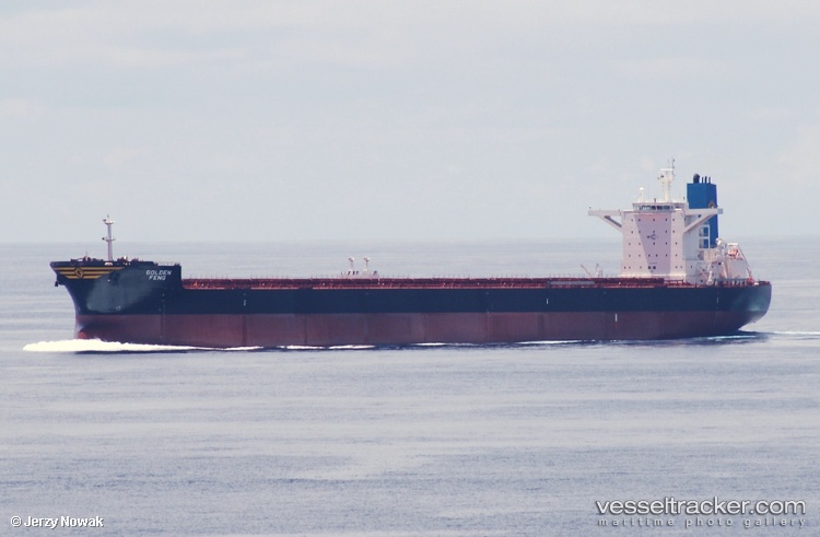 Cape-Astra - Bulk Carrier vessel