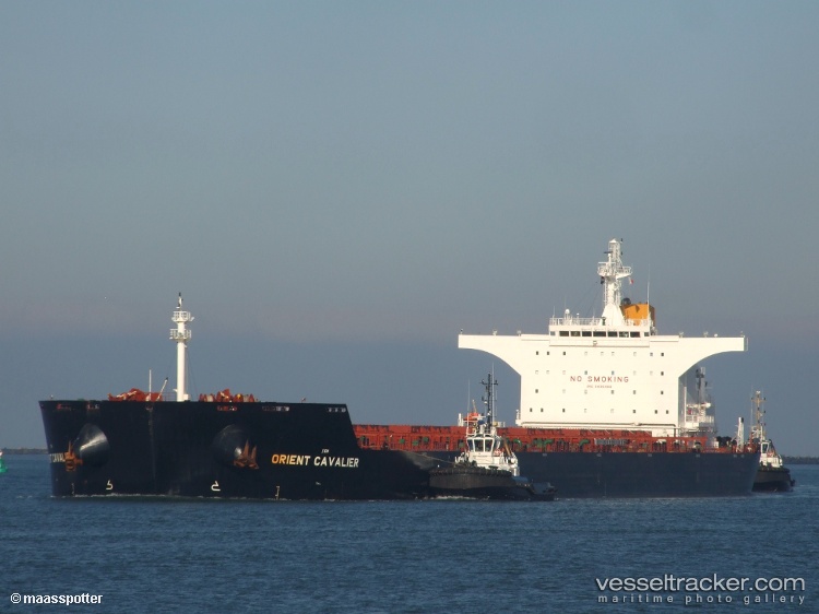 Orient-Cavalier - Bulk Carrier
