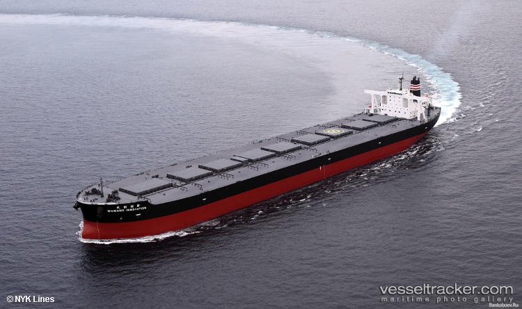 Wugang-Innovation - Ore Carrier vessel