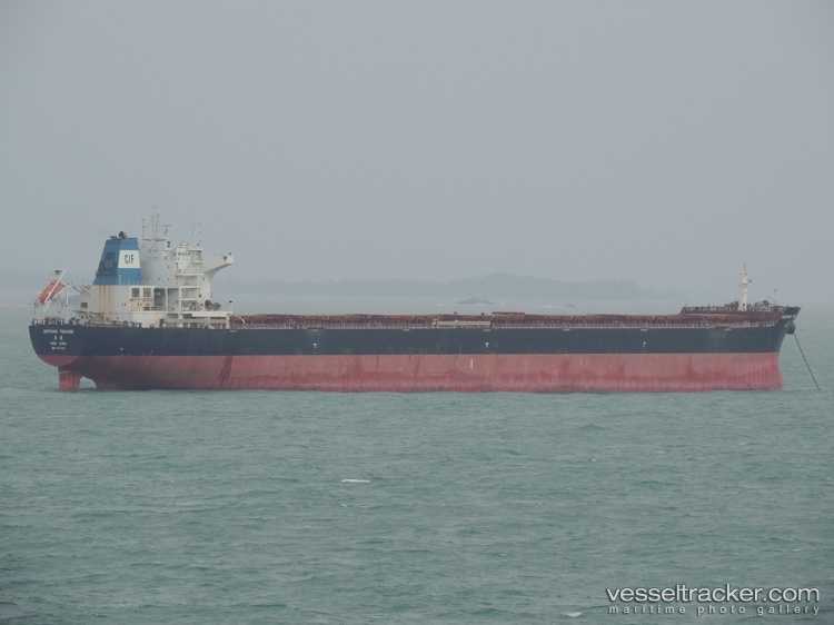 Ocean-Treasure - Bulk Carrier