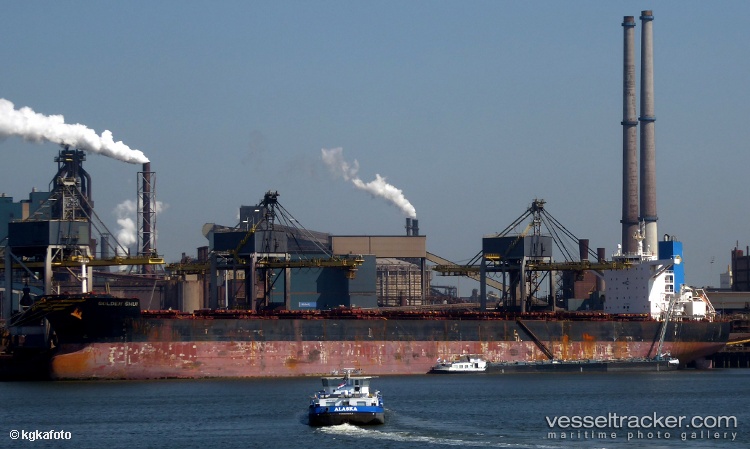 Cape-Pylos - Bulk Carrier vessel