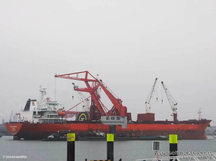 Delphi-Ranger - Bulk Carrier vessel