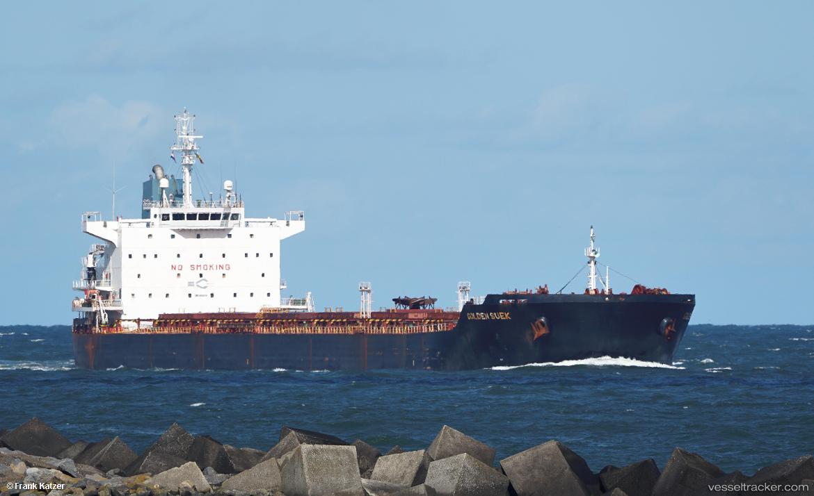 Polar-Lady - Bulk Carrier vessel