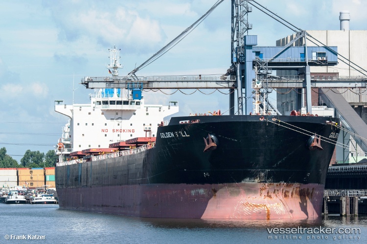 Ice-Bull - Bulk Carrier vessel