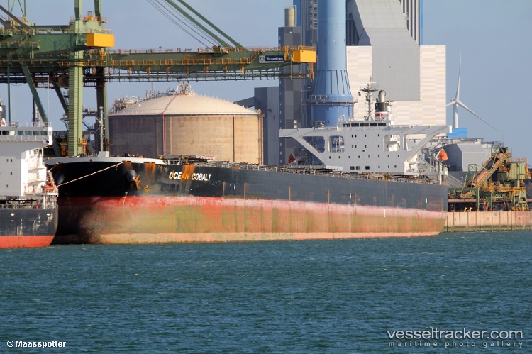 Zhi-Nv-Star - Bulk Carrier vessel