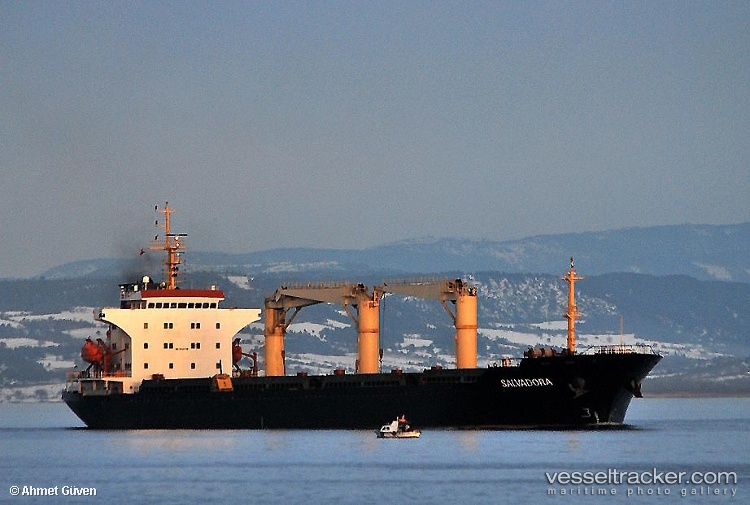Viet-Thuan-215-06 - Bulk Carrier vessel
