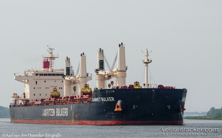 Gannet-Bulker - Bulk Carrier vessel