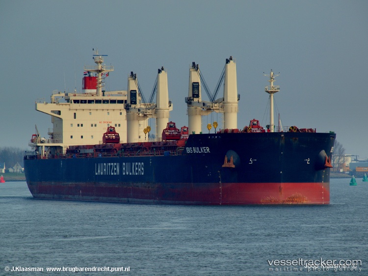 Ibis-Bulker - Bulk Carrier vessel