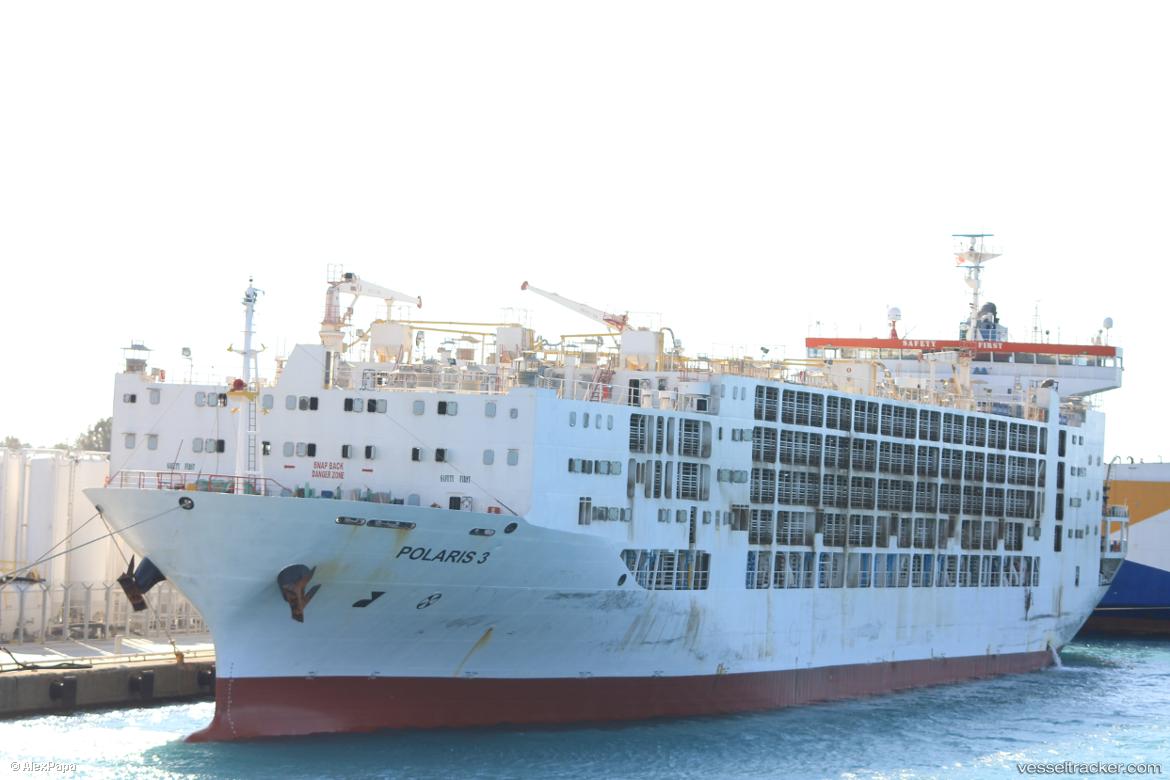 Polaris-3 - Livestock Carrier vessel