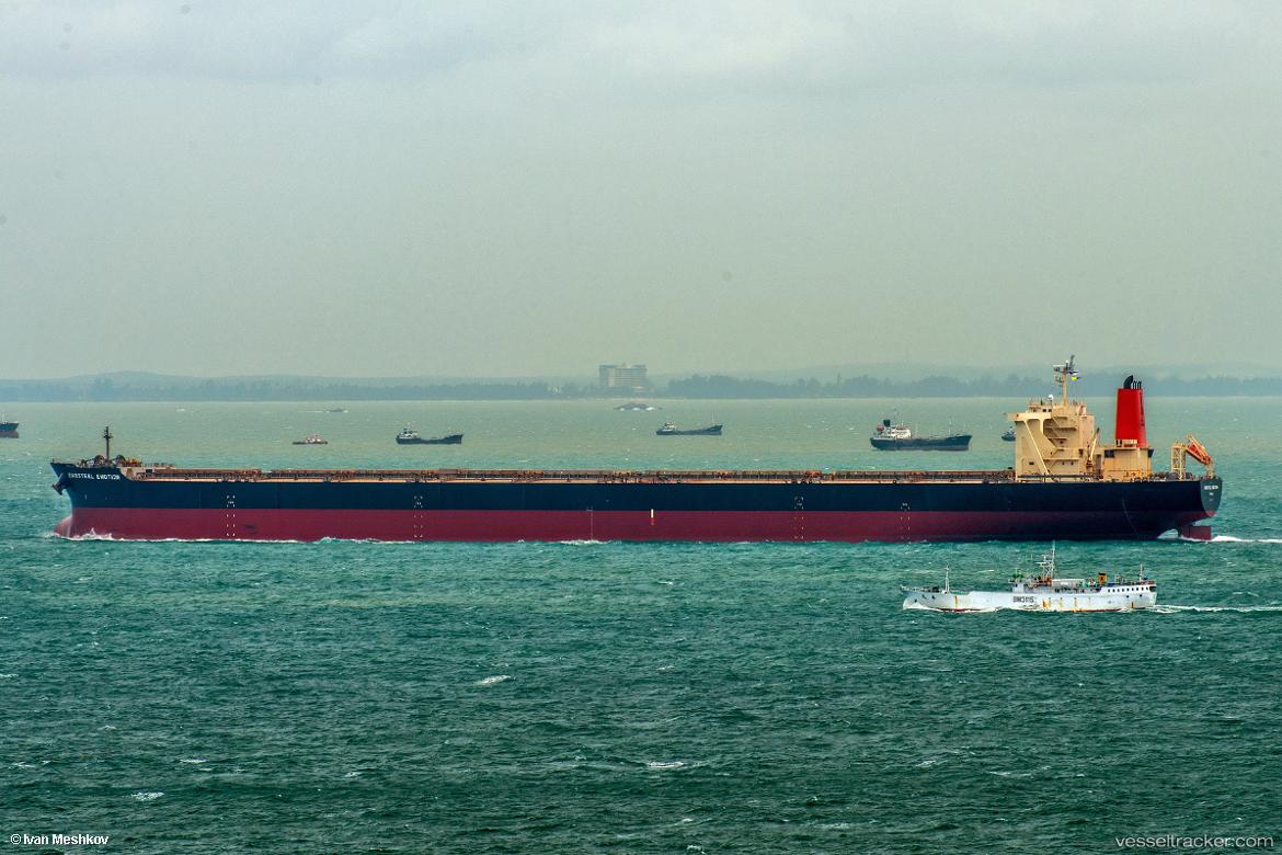 Baosteel-Emotion - Ore Carrier vessel