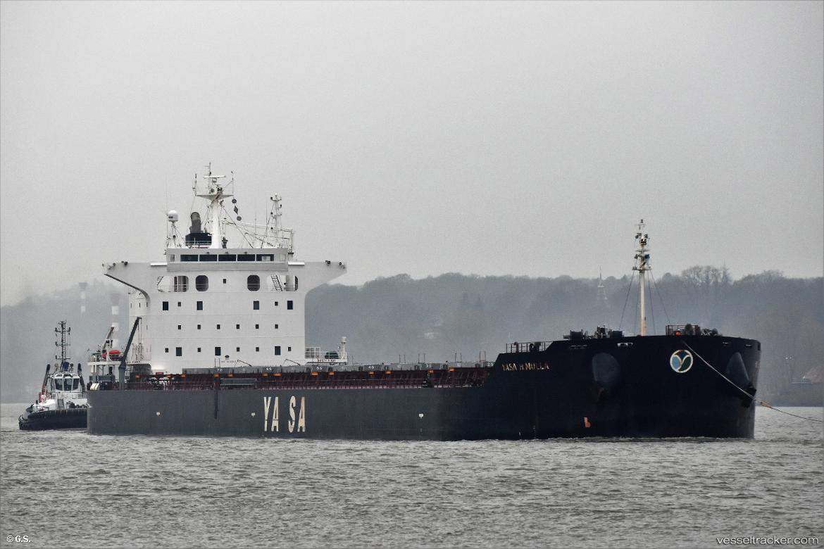 Yasa-H.mulla - Bulk Carrier vessel