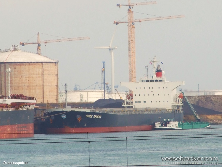 Toro - Bulk Carrier vessel