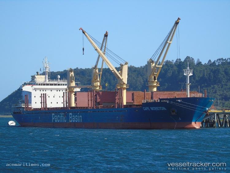 Loyalty-Hong - Bulk Carrier