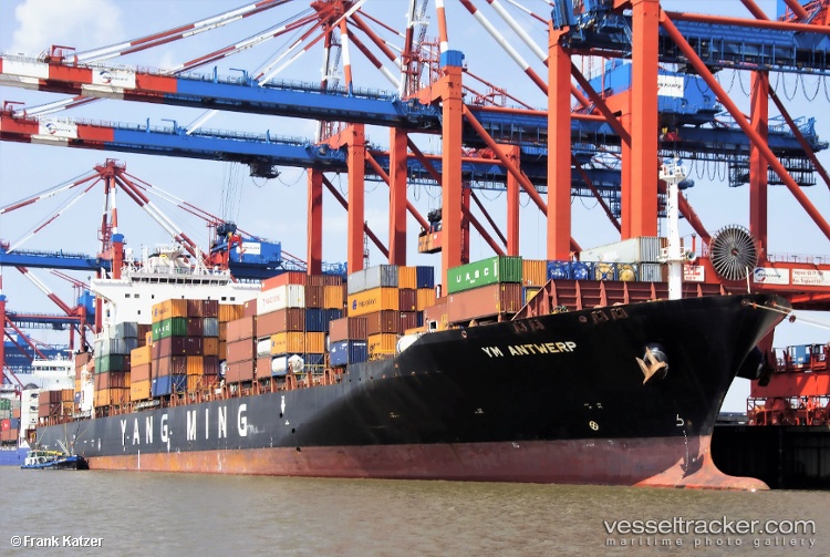 Synergy-Antwerp - Container Ship vessel