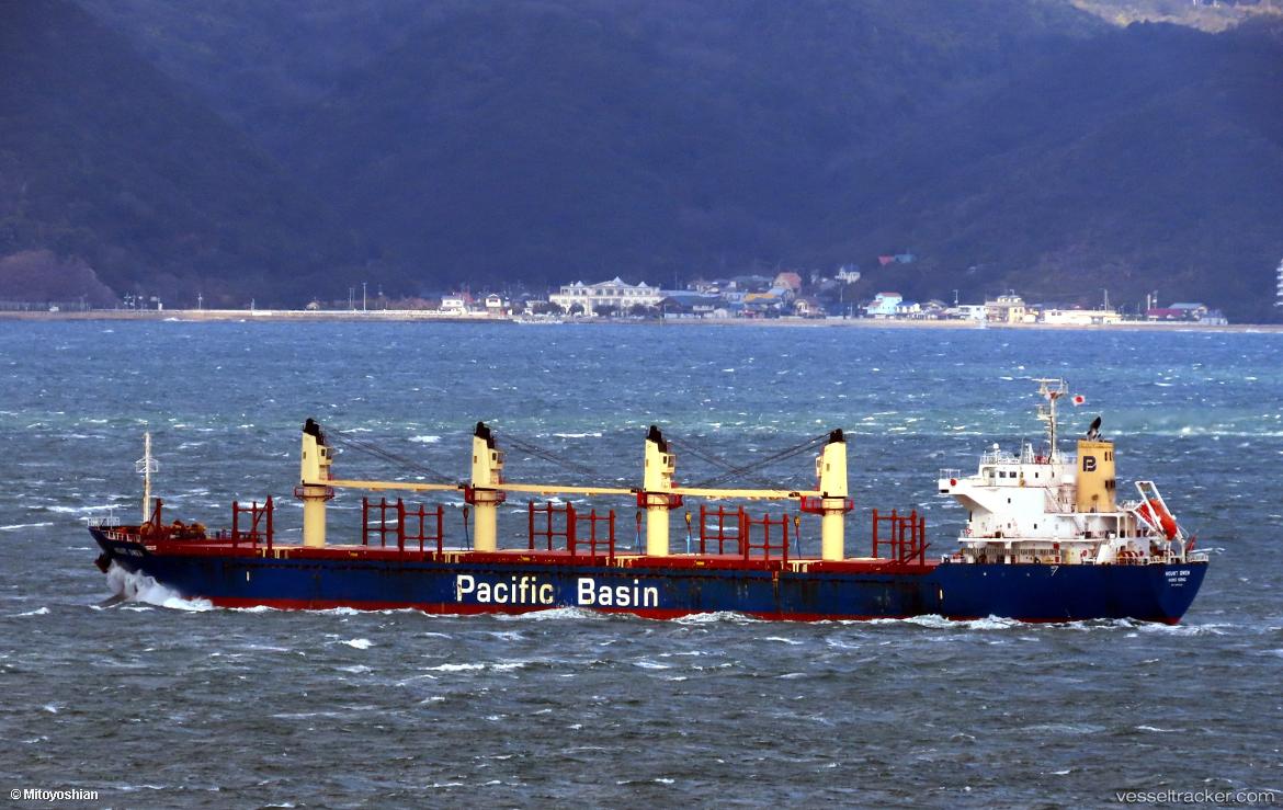 Mount-Owen - Bulk Carrier vessel