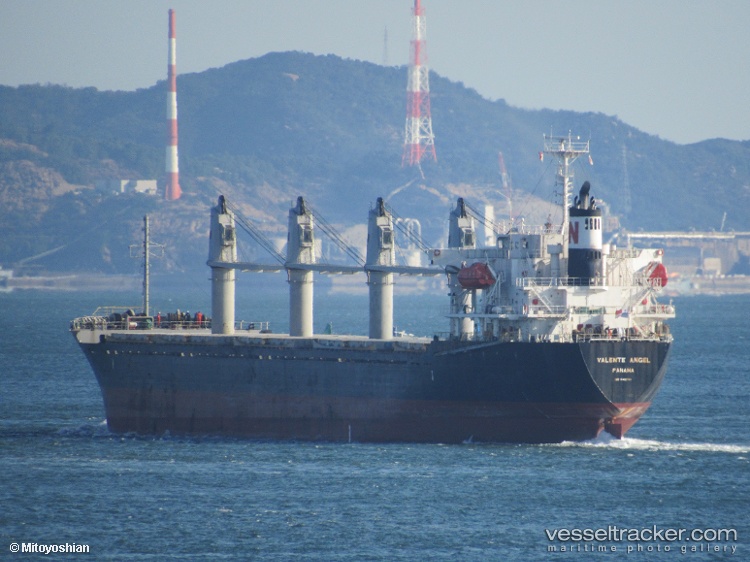Arxagelos - Bulk Carrier vessel