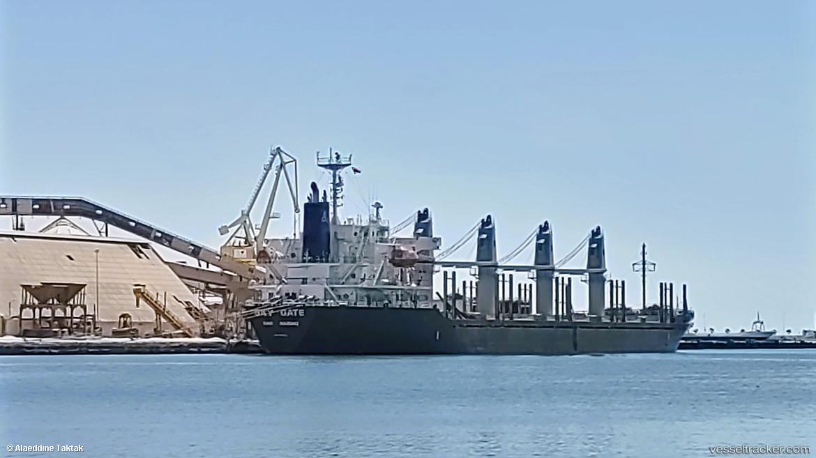 Sky-Gate - Bulk Carrier vessel
