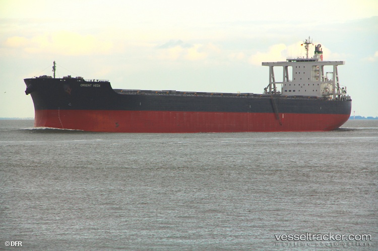 Alpha-Hope - Bulk Carrier vessel