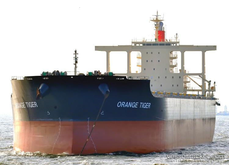 Orange-Tiger - Bulk Carrier