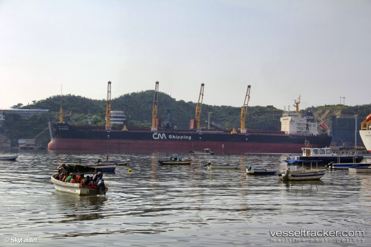 Chang-Hang-Zhuo-Hai - Bulk Carrier vessel