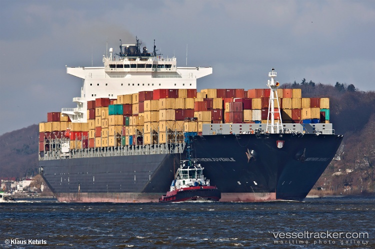 Northern-Juvenile - Container Ship vessel