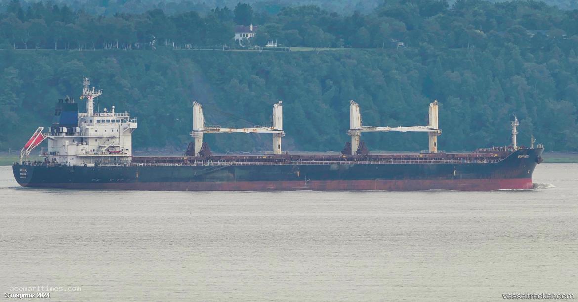 Orient-Pace - Bulk Carrier